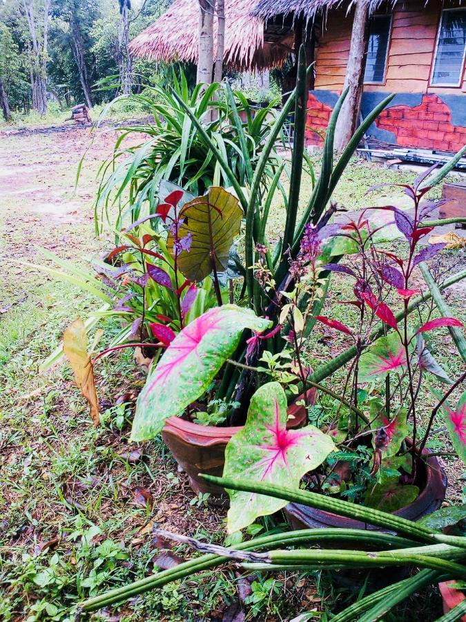 Baan Jing Jai Homestay Resort Lanta Koh Lanta Ngoại thất bức ảnh